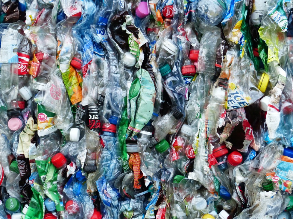 Bottles ready for recycling